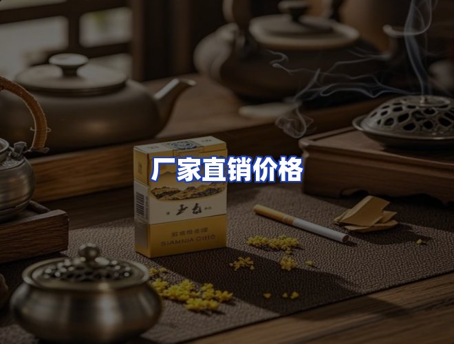 专业团队
